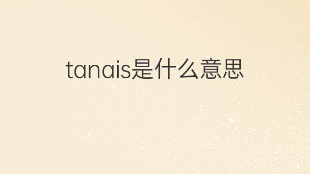 tanais是什么意思 tanais的翻译、读音、例句、中文解释