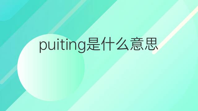 puiting是什么意思 puiting的翻译、读音、例句、中文解释