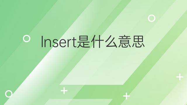 lnsert是什么意思 lnsert的翻译、读音、例句、中文解释