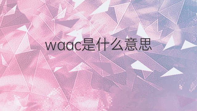 waac是什么意思 waac的翻译、读音、例句、中文解释