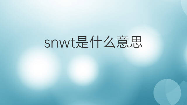 snwt是什么意思 snwt的翻译、读音、例句、中文解释