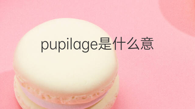 pupilage是什么意思 pupilage的翻译、读音、例句、中文解释