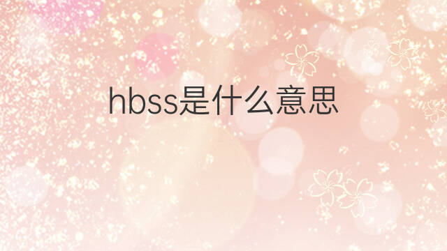 hbss是什么意思 hbss的中文翻译、读音、例句