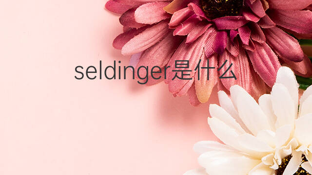 seldinger是什么意思 seldinger的中文翻译、读音、例句