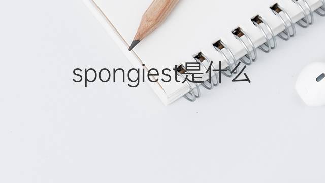 spongiest是什么意思 spongiest的翻译、读音、例句、中文解释