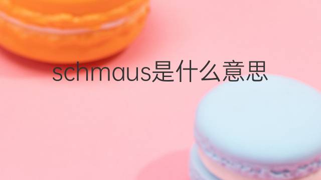 schmaus是什么意思 schmaus的中文翻译、读音、例句