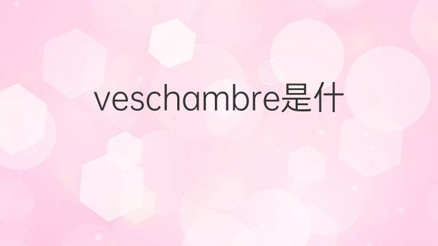 veschambre是什么意思 veschambre的中文翻译、读音、例句