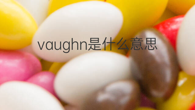 vaughn是什么意思 vaughn的中文翻译、读音、例句