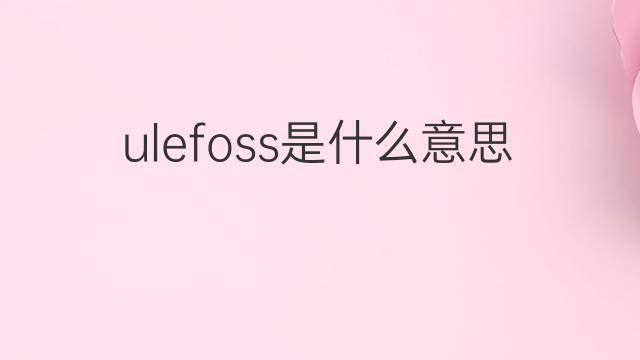 ulefoss是什么意思 ulefoss的翻译、读音、例句、中文解释
