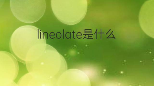 lineolate是什么意思 lineolate的中文翻译、读音、例句