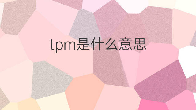 tpm是什么意思 tpm的翻译、读音、例句、中文解释