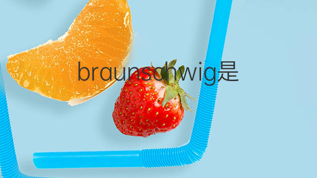 braunschwig是什么意思 braunschwig的翻译、读音、例句、中文解释