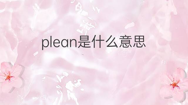 plean是什么意思 plean的中文翻译、读音、例句