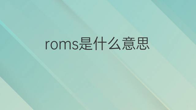 roms是什么意思 roms的翻译、读音、例句、中文解释