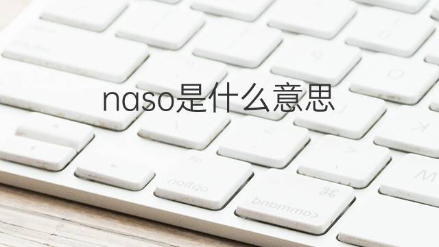 naso是什么意思 naso的中文翻译、读音、例句