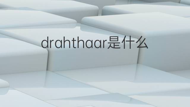 drahthaar是什么意思 drahthaar的中文翻译、读音、例句