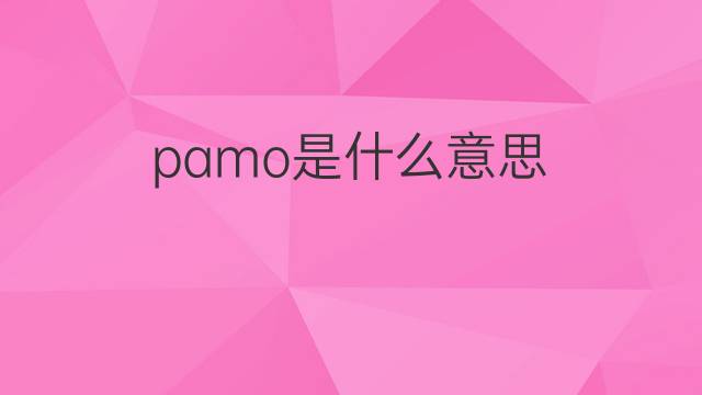 pamo是什么意思 pamo的中文翻译、读音、例句