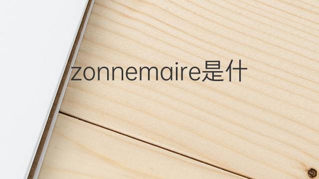 zonnemaire是什么意思 zonnemaire的中文翻译、读音、例句