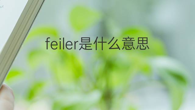 feiler是什么意思 英文名feiler的翻译、发音、来源