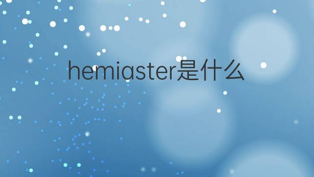 hemiaster是什么意思 hemiaster的中文翻译、读音、例句