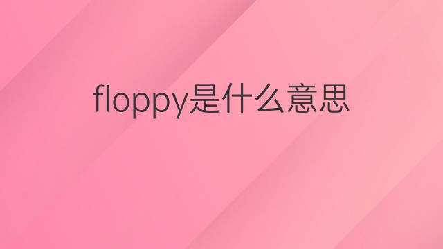 floppy是什么意思 floppy的中文翻译、读音、例句