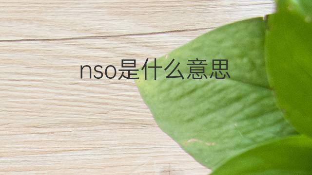nso是什么意思 nso的中文翻译、读音、例句