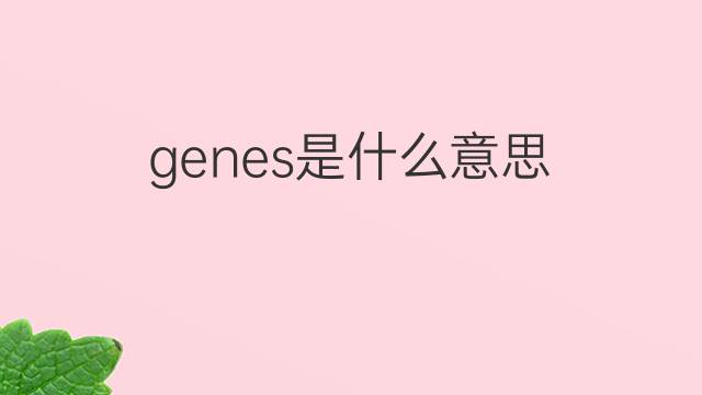 genes是什么意思 genes的中文翻译、读音、例句