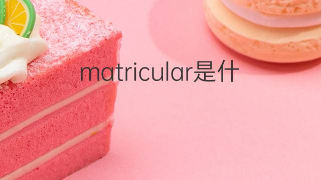 matricular是什么意思 matricular的中文翻译、读音、例句