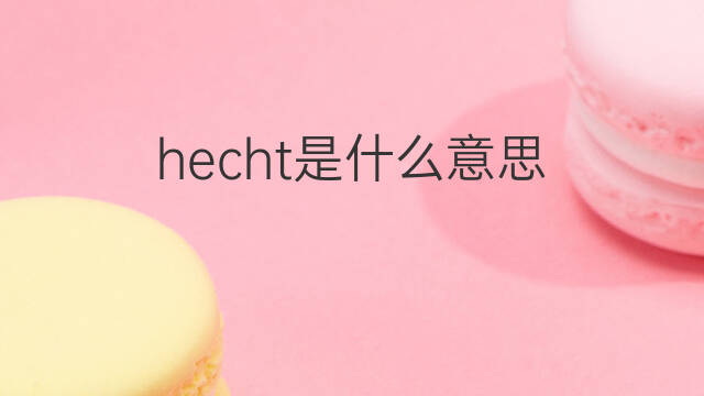 hecht是什么意思 hecht的中文翻译、读音、例句