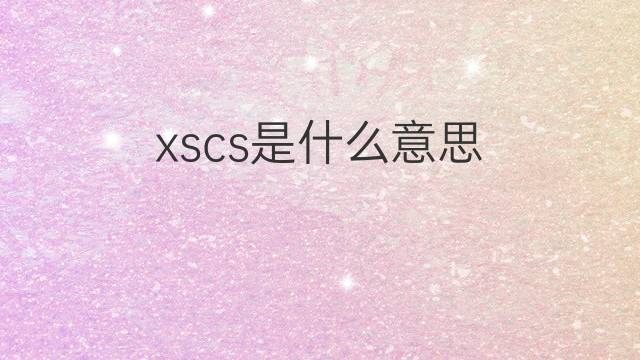xscs是什么意思 xscs的翻译、读音、例句、中文解释