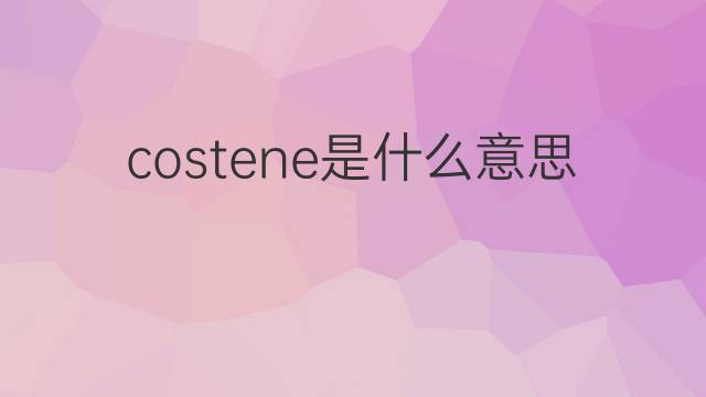 costene是什么意思 costene的翻译、读音、例句、中文解释