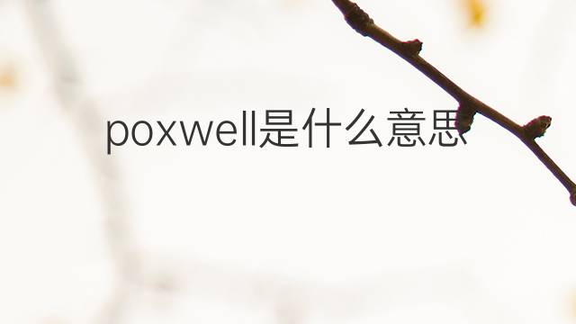 poxwell是什么意思 poxwell的中文翻译、读音、例句