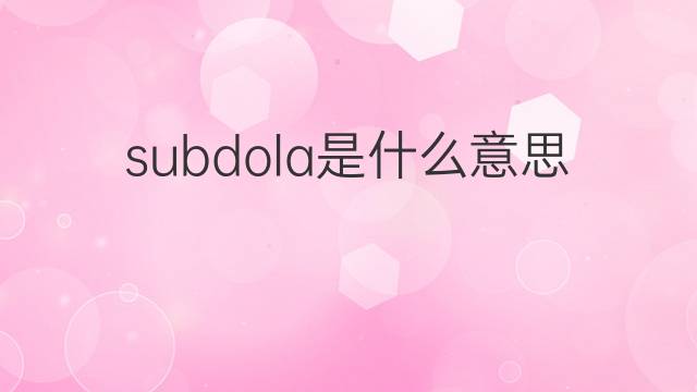 subdola是什么意思 subdola的中文翻译、读音、例句