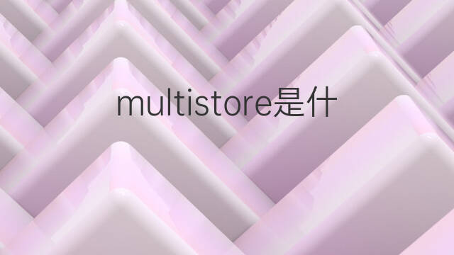 multistore是什么意思 multistore的中文翻译、读音、例句