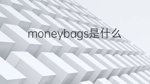moneybags是什么意思 moneybags的中文翻译、读音、例句