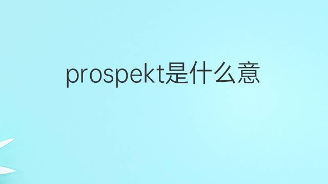prospekt是什么意思 prospekt的中文翻译、读音、例句