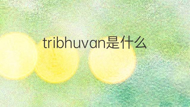 tribhuvan是什么意思 tribhuvan的中文翻译、读音、例句