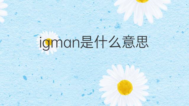 igman是什么意思 igman的中文翻译、读音、例句