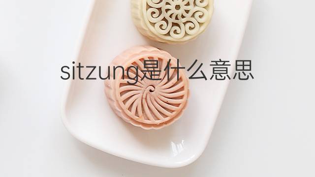 sitzung是什么意思 sitzung的中文翻译、读音、例句