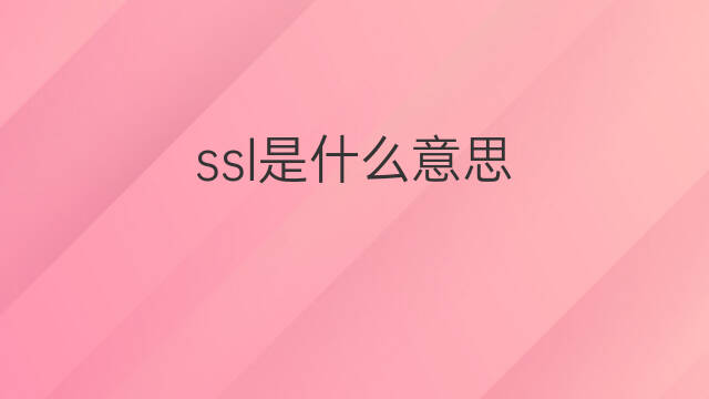 ssl是什么意思 ssl的中文翻译、读音、例句