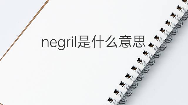 negril是什么意思 negril的中文翻译、读音、例句