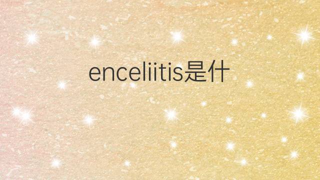 enceliitis是什么意思 enceliitis的中文翻译、读音、例句