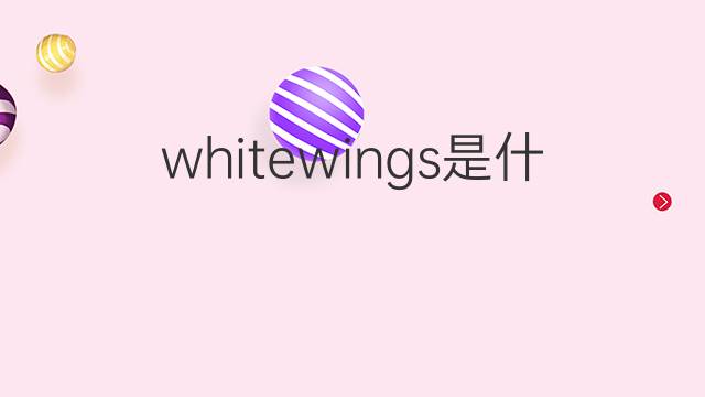 whitewings是什么意思 whitewings的中文翻译、读音、例句