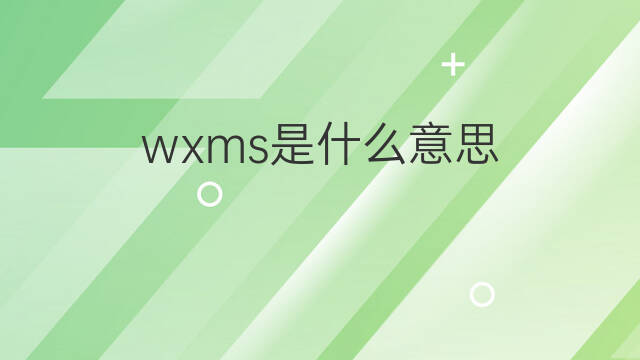 wxms是什么意思 wxms的中文翻译、读音、例句