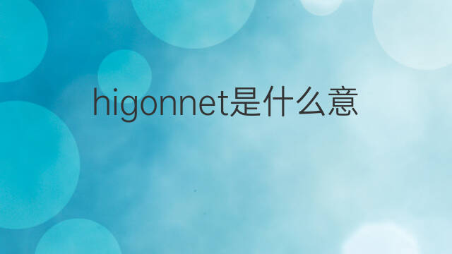 higonnet是什么意思 higonnet的中文翻译、读音、例句