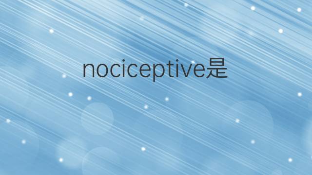 nociceptive是什么意思 nociceptive的中文翻译、读音、例句