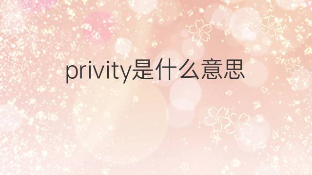 privity是什么意思 privity的中文翻译、读音、例句