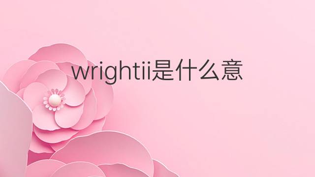 wrightii是什么意思 wrightii的中文翻译、读音、例句