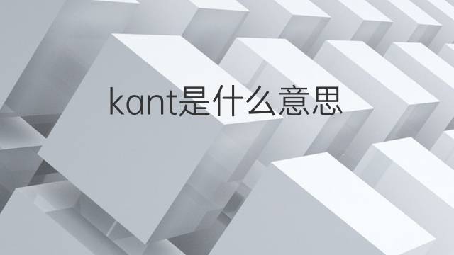 kant是什么意思 kant的中文翻译、读音、例句
