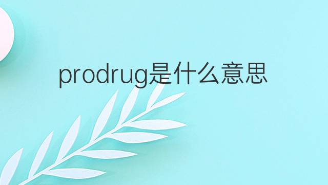 prodrug是什么意思 prodrug的中文翻译、读音、例句
